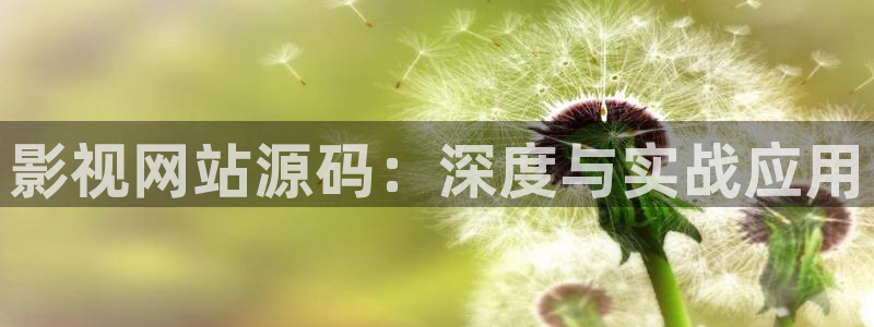 神马影院午夜片国产