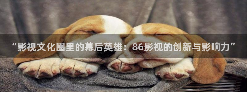 午夜性感私人影院