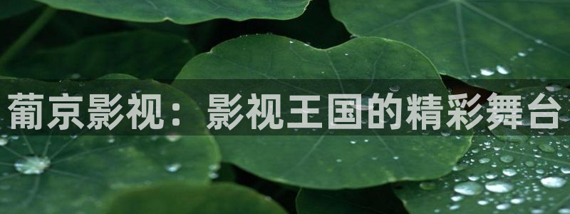 80s成人午夜电影