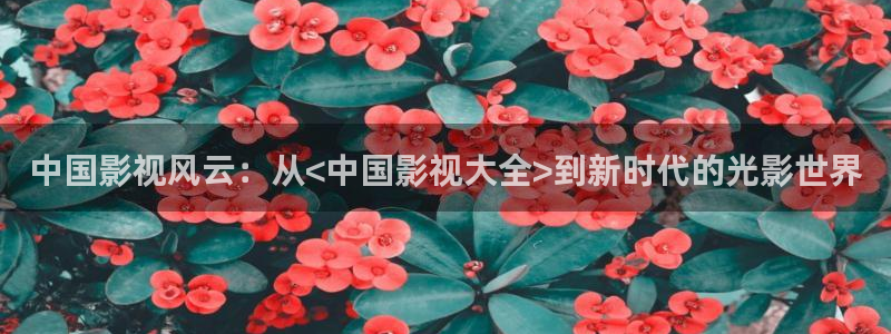 手机午夜免费看片