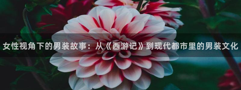 国产精品午夜在线视频